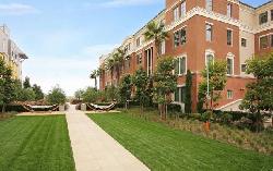 dorian-playa-vista-20439