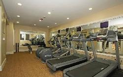 dorian-playa-vista-20447