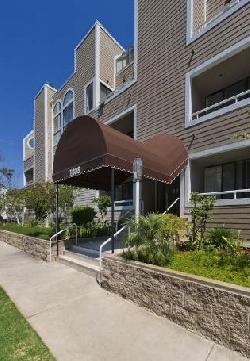 dorothy-granville-8789