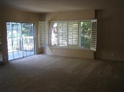 enchanted-view-7134