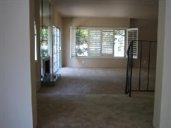 enchanted-view-7135
