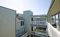 enchanted-view-7138