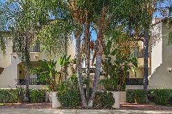 encino-vista-townhomes-51542