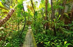 fairfax-tropics-14751