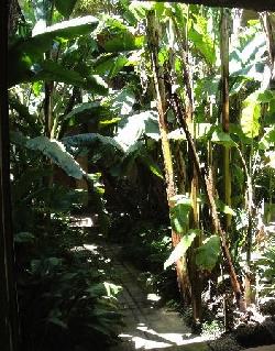 fairfax-tropics-14754