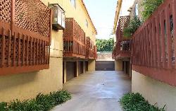falcon-hill-23598