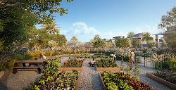farm-gardens-at-the-valley-50166