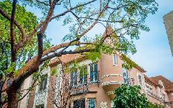 flores-house-22534