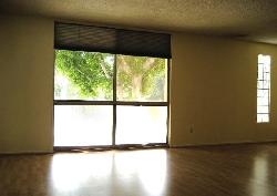 flores-palace-11744