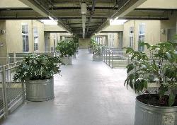 flower-street-lofts-4807