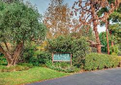 franciscan-woods-49075