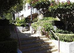 franklin-terrace-11767