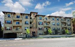 girasole-sherman-oaks-21107