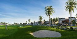 golf-place-dubai-49836