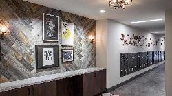 griffith-apartments-the-37116