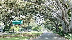 griffith-apartments-the-37127