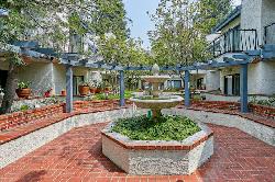harvard-garden-45877