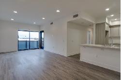 hawthorn-at-poinsettia-23491