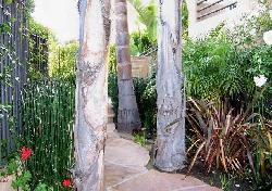 hi-point-homes-23536