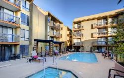 hollywood-regis-17384