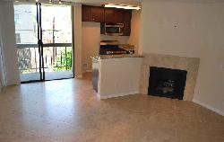 hollywood-regis-17394