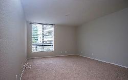 hollywood-regis-17396