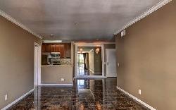 hollywood-regis-17402