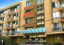 hollywood-regis-17404