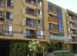 hollywood-regis-17406