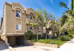 jasmine-palms-50432