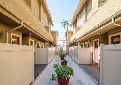 jasmine-palms-50440
