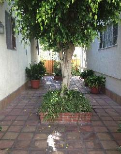kingswood-court-14648