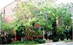 kingswood-south-3075