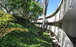 lago-vista-26452