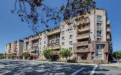 lake-at-walnut-27858