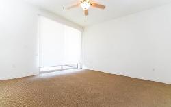 lake-at-walnut-27864