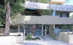 larrabee-palm-41577