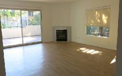 larrabee-palm-41579