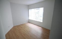 larrabee-palm-41586