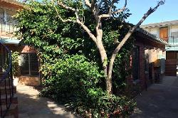 las-casitas-en-santa-monica-35914