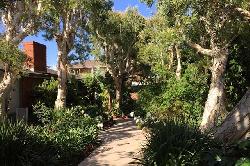 las-casitas-en-santa-monica-35915