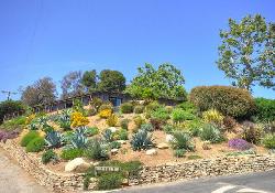 las-flores-mesa-50872