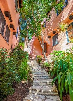 las-orquideas-40517
