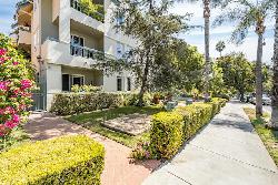laurel-on-sunset-48112