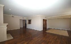 laurel-on-sunset-9653