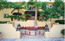 laurel-palms-2731