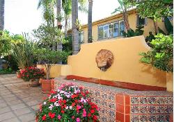 laurel-palms-2733