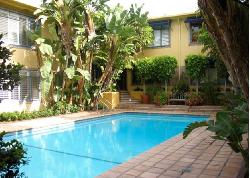 laurel-palms-2734