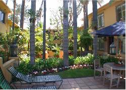 laurel-palms-2735