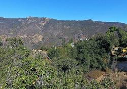 malibu-bowl-50838